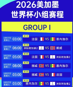 世界杯外围买球荷兰大胜瑞典分析